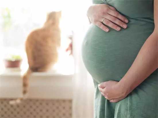 孕期饮食结构的五大要义：打造健康宝宝，助力宝宝茁壮成长