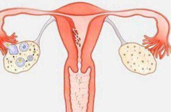 正规供卵试管代孕_包性别价格表,输卵管堵塞造影怎么做？