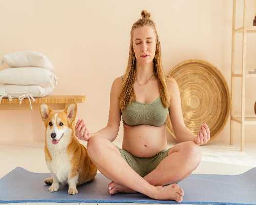 郑州双角子宫试管移植和正常移植一样吗